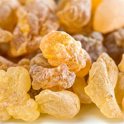 Frankincense Olibanum Oil – Australian Oils Of Nature