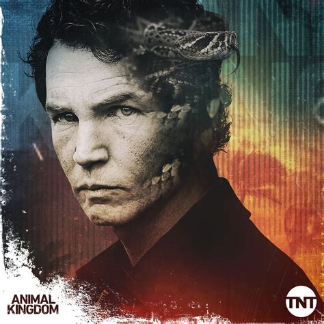 Where To Watch Animal Kingdom Season 5 at Robert Lindsay blog