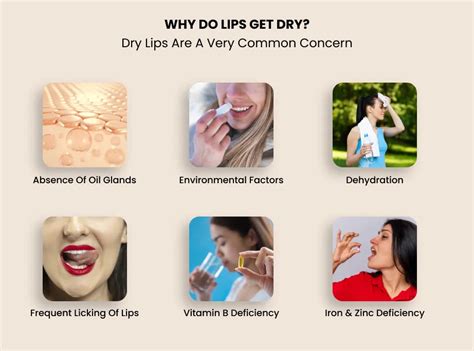 Chapped Lips? Get Soft, Supple, and Sun-Ready Lips This Season ...