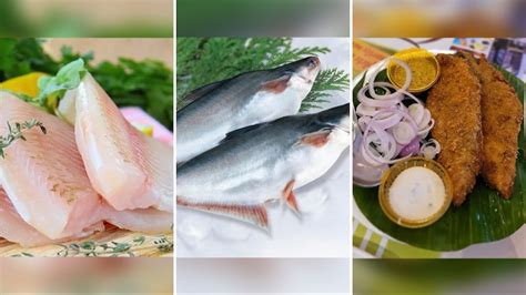 Basa Fish: ভেটকির বদলে বাসা খাচ্ছেন? জানুন শরীরের জন্য উপকারী না ক্ষতি ...