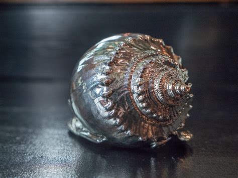 Silvered Sea Shell Scotch Bonnet For Sale at 1stDibs | scotch bonnet ...