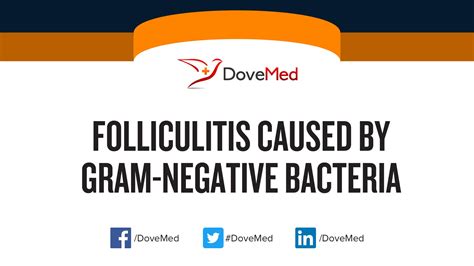 Folliculitis caused by Gram-Negative Bacteria
