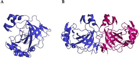 An Overview of the Bacterial Carbonic Anhydrases