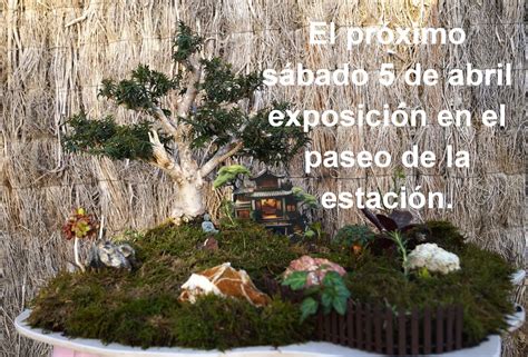 Exposicion de Bonsais, Paseo de la Estacion, Elche, 5 April 2025 ...