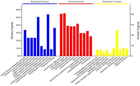 Role of Glycolysis/Gluconeogenesis and HIF-1 Signaling Pathways in Rats ...