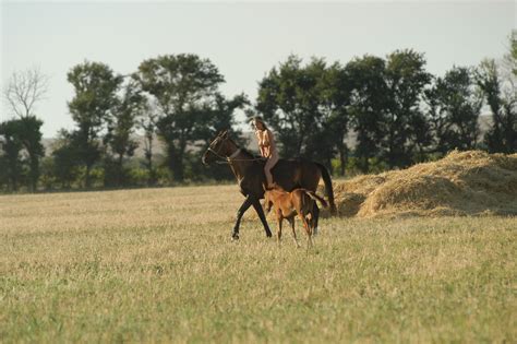 Multiple Model Set Mirrors By Goncharov Nude Album | My XXX Hot Girl