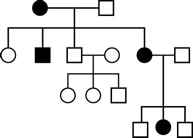 Pedigree Analysis (NCERT) Free MCQ Practice Test with Solutions - NEET