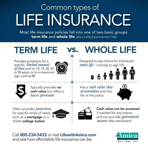 Life Insurance Policy Types 的图像结果