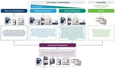 Image result for Process Development Manufacturing Workflow