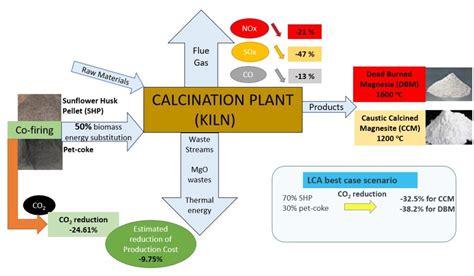 Use of Biomass as Alternative Fuel in Magnesia Sector