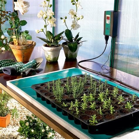 Can You Use A Regular Heating Pad For Seeds at Clifford Hochstetler blog