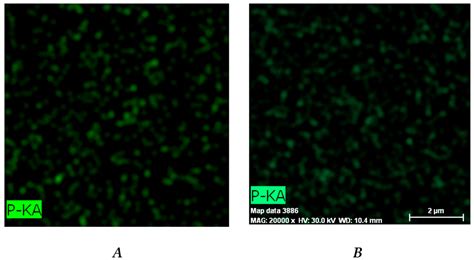 Interpenetrating Polymer Networks of Poly(2-hydroxyethyl methacrylate ...