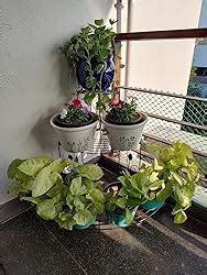 Kundi 3 Tier Plant Stand Floral Corner Shelf Metal Flower Pot Rack ...