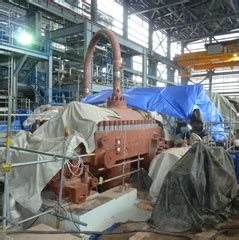 ROYAL VANQUISH GROUP