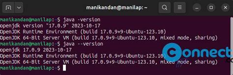 Java Verify Version Download 的图像结果