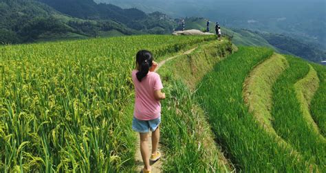 5-Day Guilin Family Tour — Nature and Countryside Fun