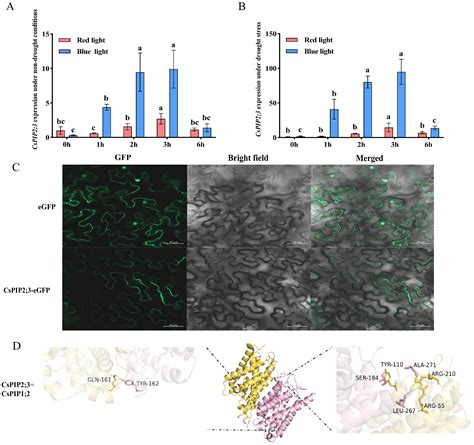 Transcriptome Dynamics Provide Insight into the Mechanisms Underlying ...