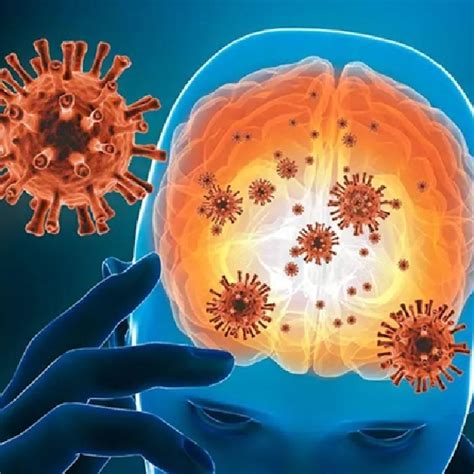 अध्ययन : हल्का COVID संक्रमण मस्तिष्क को 2 प्रतिशत तक सिकोड़ सकता है