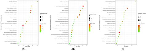 Multi-Omics Analysis of Transcriptomic and Metabolomics Profiles Reveal ...