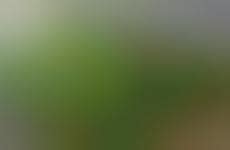 32 Pairs of Unusual Funky Footwear