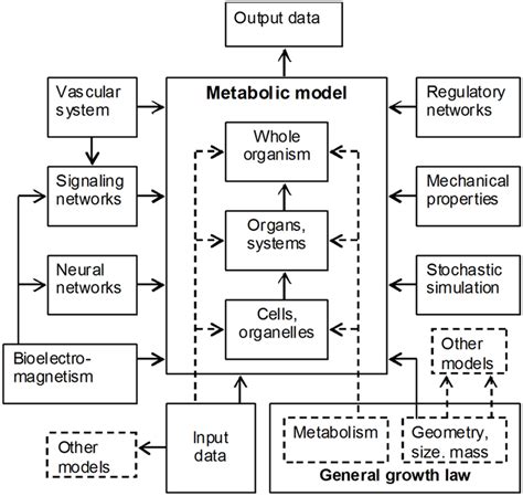 Image result for Bio Models