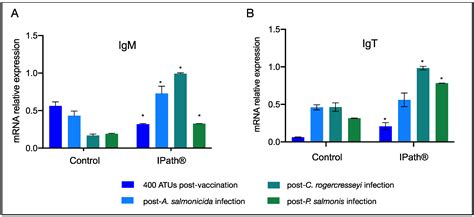 Chimeric Protein IPath® with Chelating Activity Improves Atlantic ...