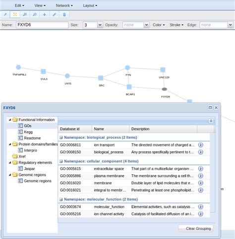 Image result for Network Viewer