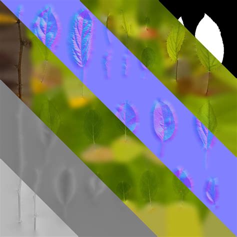 3D Anydrafts Malus Textures Pack - TurboSquid 2323976