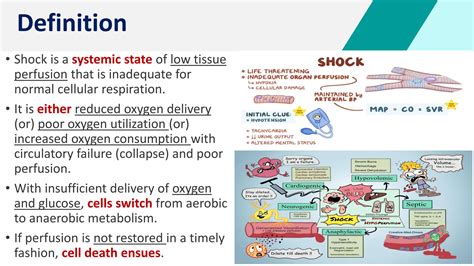 Shock - Types, PP & MGT | PDF