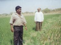 Compost use & Standards