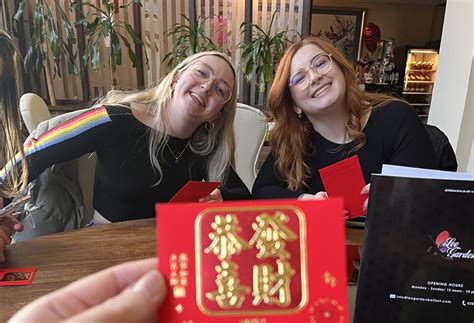 Data Intellect 的图像结果