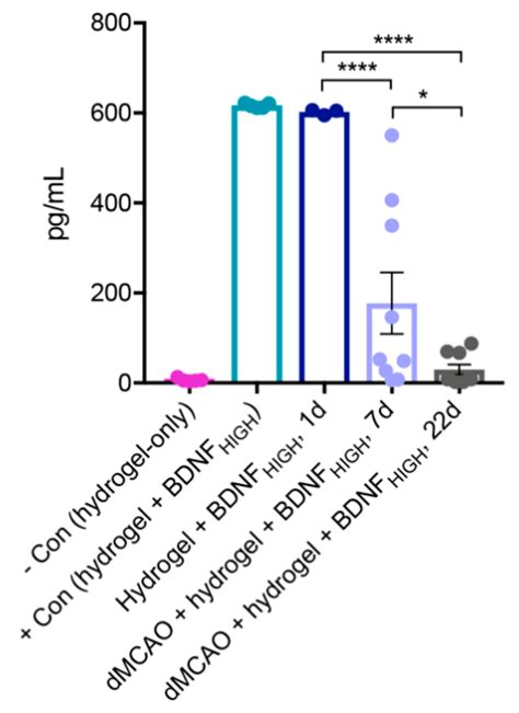 Intracerebral Delivery of Brain-Derived Neurotrophic Factor Using ...