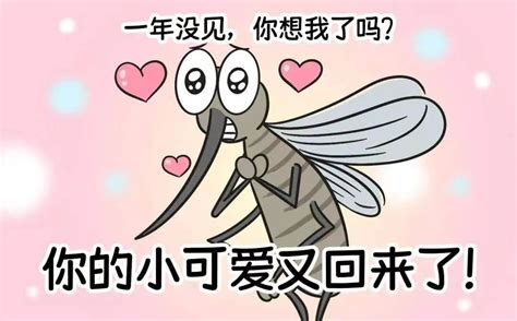 夏天，蚊子为啥总叮你？_澎湃号·政务_澎湃新闻-The Paper