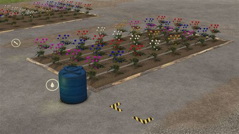 Rose garden FS25 - KingMods