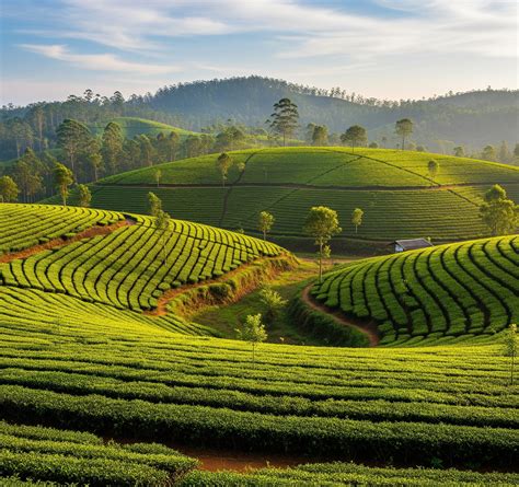 Unraveling The Mystery Of The 94 Country Code: A Guide For Americans