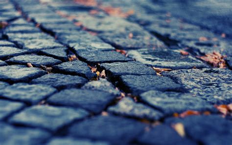 Depth of Field s wallpaper | 1920x1200 | #8616