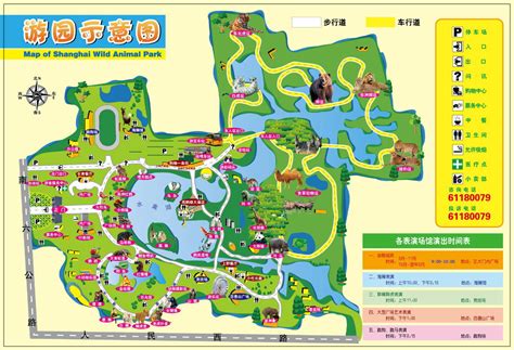 2020上海野生动物园-旅游攻略-门票-地址-问答-游记点评，上海旅游旅游景点推荐-去哪儿攻略