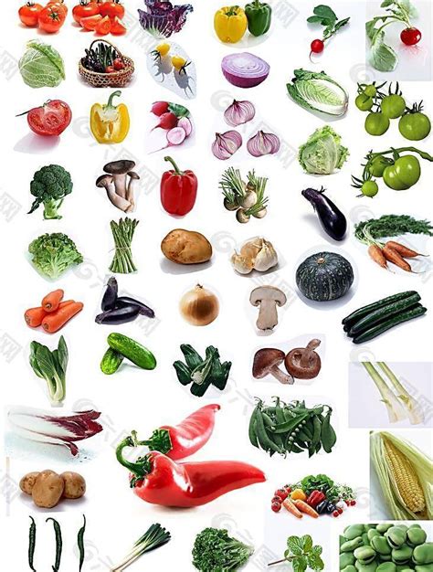 常见蔬菜图片及名称_常见蔬菜名称大全有图 - 随意云