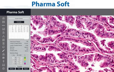Free Digital Microscope Software 的图像结果