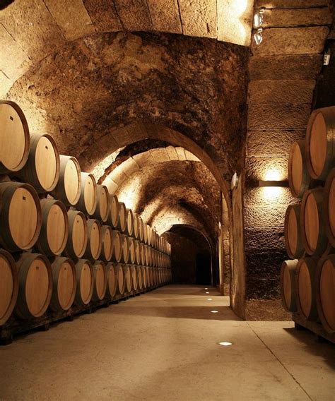 BODEGA CASA PRIMICIA (2025) All You Need to Know BEFORE You Go (with ...