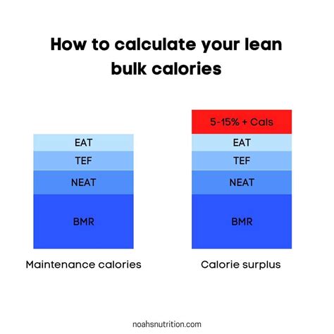 Macros For Lean Bulk: How to Gain Muscle Without Gaining Fat