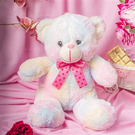 Brighten Your Valentine's Day with a Rainbow Teddy Bear - 25 X 21 X 30 ...