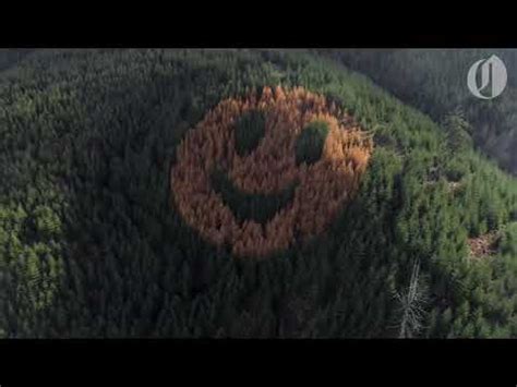 Image result for Alienate Synonym