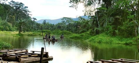 Neeles Zeit im Wildtier- und Regenwaldschutz im Amazonas