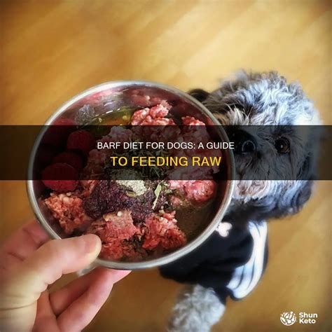 Barf Diet For Dogs: A Guide To Feeding Raw | ShunKeto