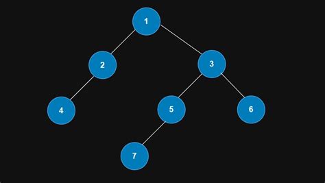 Data Structure Tree Leaf to Root 的图像结果
