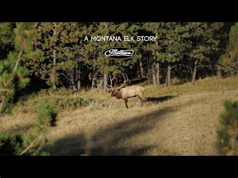 Role of The Hunter - An RMEF Film​ - YouTube