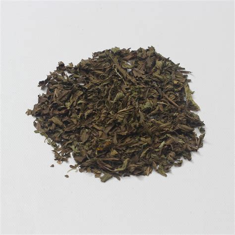 Infinitea Originals Organic Spearmint Tea