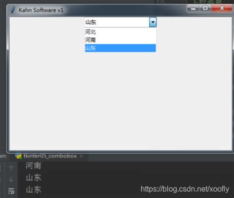 Python Tkinter ComboBox 的图像结果