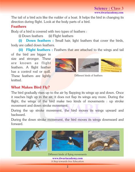 Class 3 Science 的图像结果